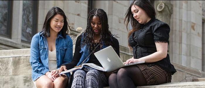 Students studying outside
