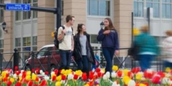 Students walking in the city
